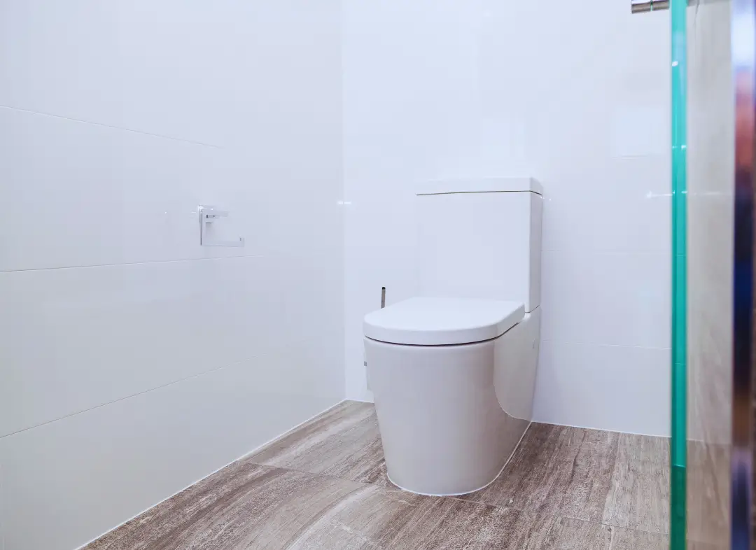 Remplacement de wc Pechbonnieu